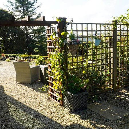Ivy Lodge Letterkenny Bagian luar foto