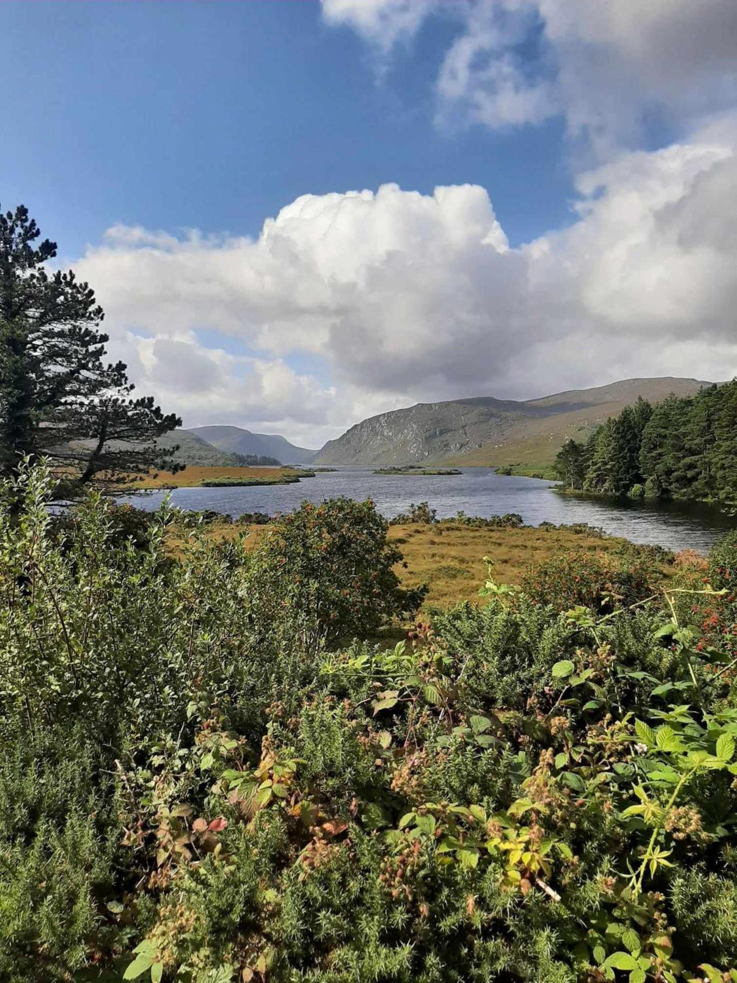 Ivy Lodge Letterkenny Bagian luar foto