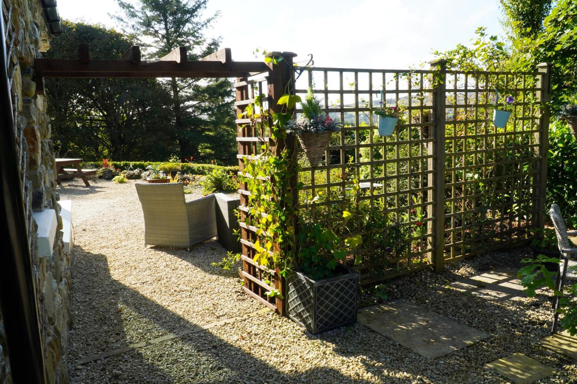 Ivy Lodge Letterkenny Bagian luar foto